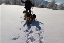 𝑬𝒙𝒄𝒖𝒓𝒔𝒊𝒆 𝒅𝒆 𝒊𝒂𝒓𝒏𝒂̆ • 1 𝒛𝒊 • 𝑴𝒖𝒏𝒕̗𝒊𝒊 𝑩𝒂𝒏𝒂𝒕𝒖𝒍𝒖𝒊