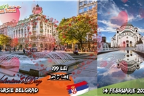 𝐕𝐚𝐥𝐞𝐧𝐭𝐢𝐧𝐞❜𝐬 𝐃𝐚𝐲 •  𝑩𝒆𝒍𝒈𝒓𝒂𝒅