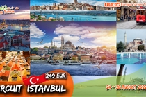 VANDUT! Excursie de VIS la Istanbul - 5 zile (Miercuri 24 August  - Duminică 28 August) - 249 Eur -  Plecare: Timisoara/Arad/Lugoj/Caransebes/Orsova/Drobeta Turnu Severin