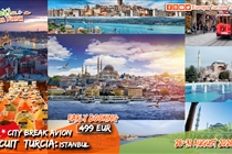 Excursie Istanbul • 4 zile ( Vineri 28 August - Luni 31 August 2026) 499 Eur • Plecare  cu Avion din Timisoara
