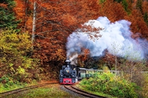 Excursie Maramures • 3 zile (Vineri 11 Septembrie  -Duminica 13 Septembrie  2026) • 999 lei • Plecare Timisoara si Arad
