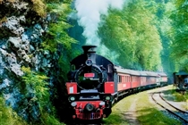Excursie UNICĂ in Maramures 2025