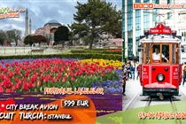 Festivalul LALELELOR Istanbul 2026