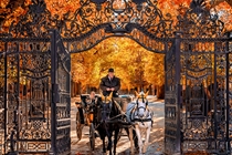 Promoție unică!! Excursie la Viena
