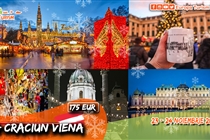 Târg Craciun AUSTRIA: Viena • 2 zile (Sâmbătă 23 - Duminică 24 noiembrie) - 175 Eur • Plecare din Timișoara si Arad