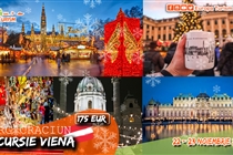 Târg Craciun Viena  noiembrie 2025