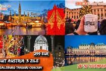 Targ de Craciun Viena si Salzburg - noiembrie 2026