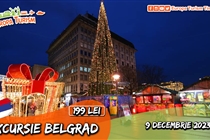 Târgul de Crăciun Belgrad • Excursie 1 zi • Sâmbătă 9 Decembrie • 199 Lei •  Plecare din Timisoara